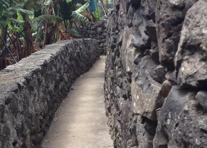 Vai Vem * Madalena do Mar