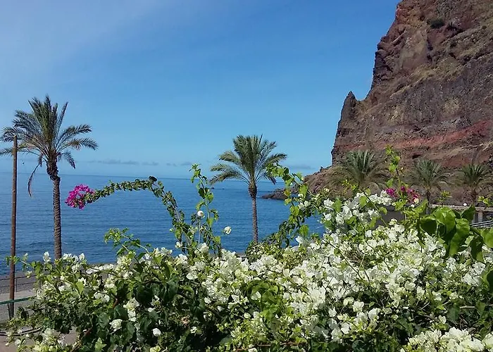 Daire Vai Vem Madalena do Mar