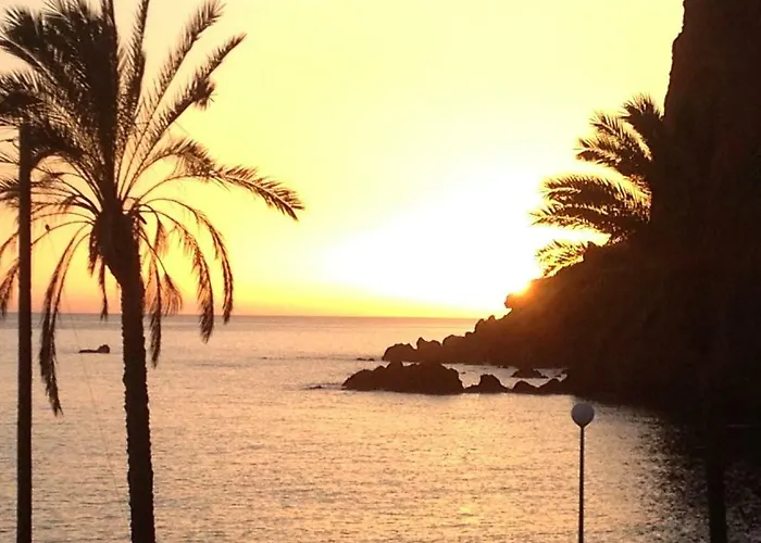 Vai Vem * Madalena do Mar